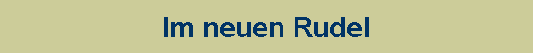 Im neuen Rudel