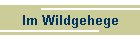 Im Wildgehege